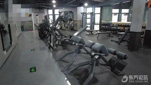 美日健身最新爆料,独家爆料带你领略健身潮流新风向